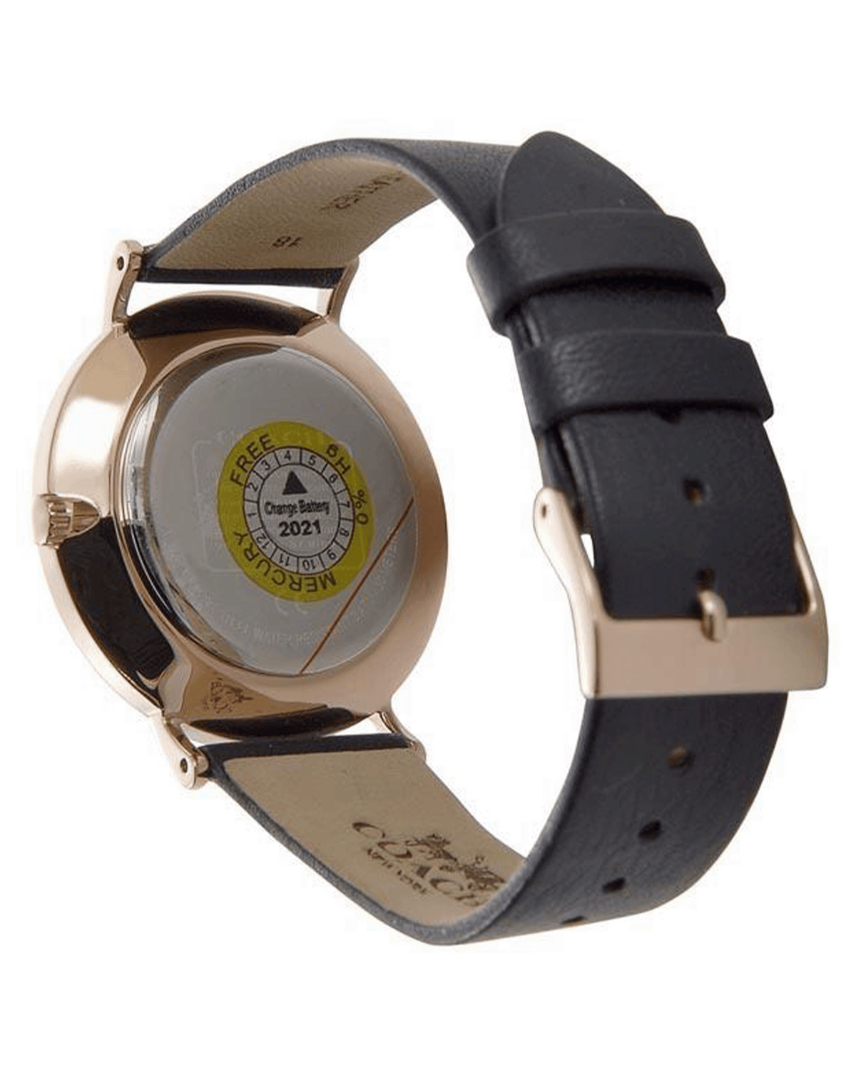 Coach Perry 14503043 navy dial watch – angled view