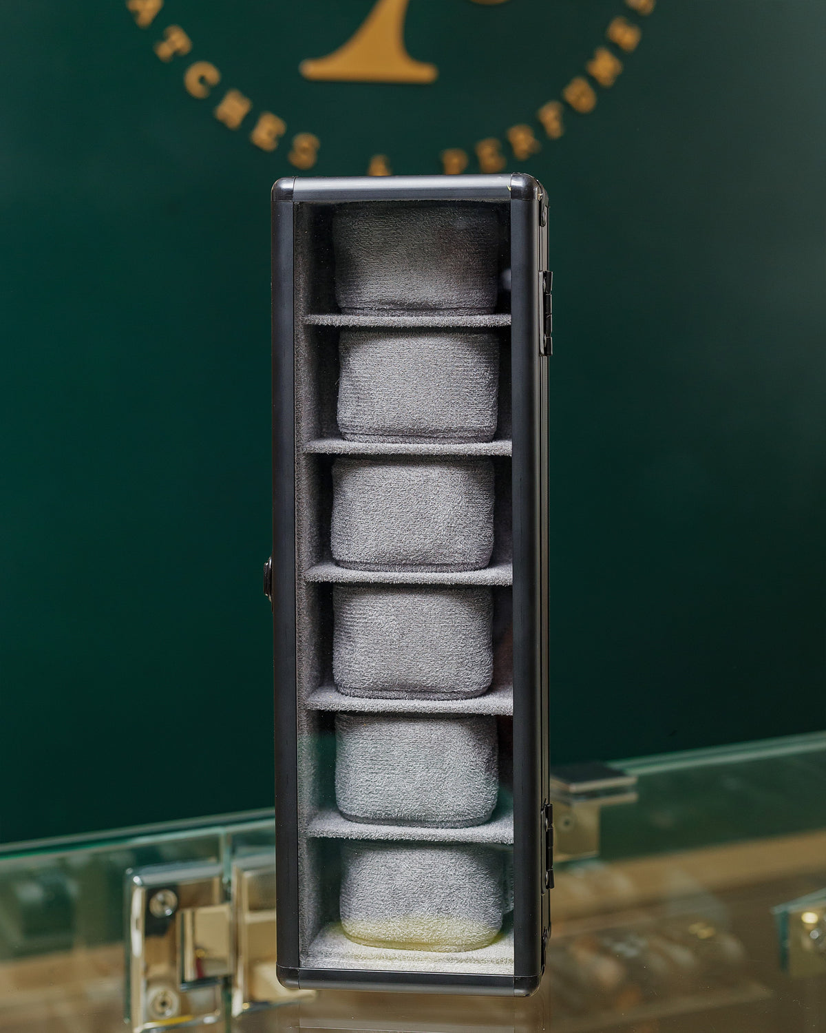 Tanti Glass 6-Watch Display Case in Black