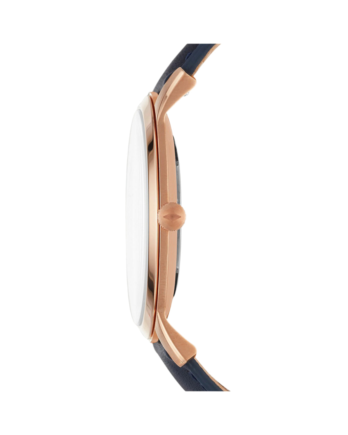 FS5371 Fossil The Minimalist Watch