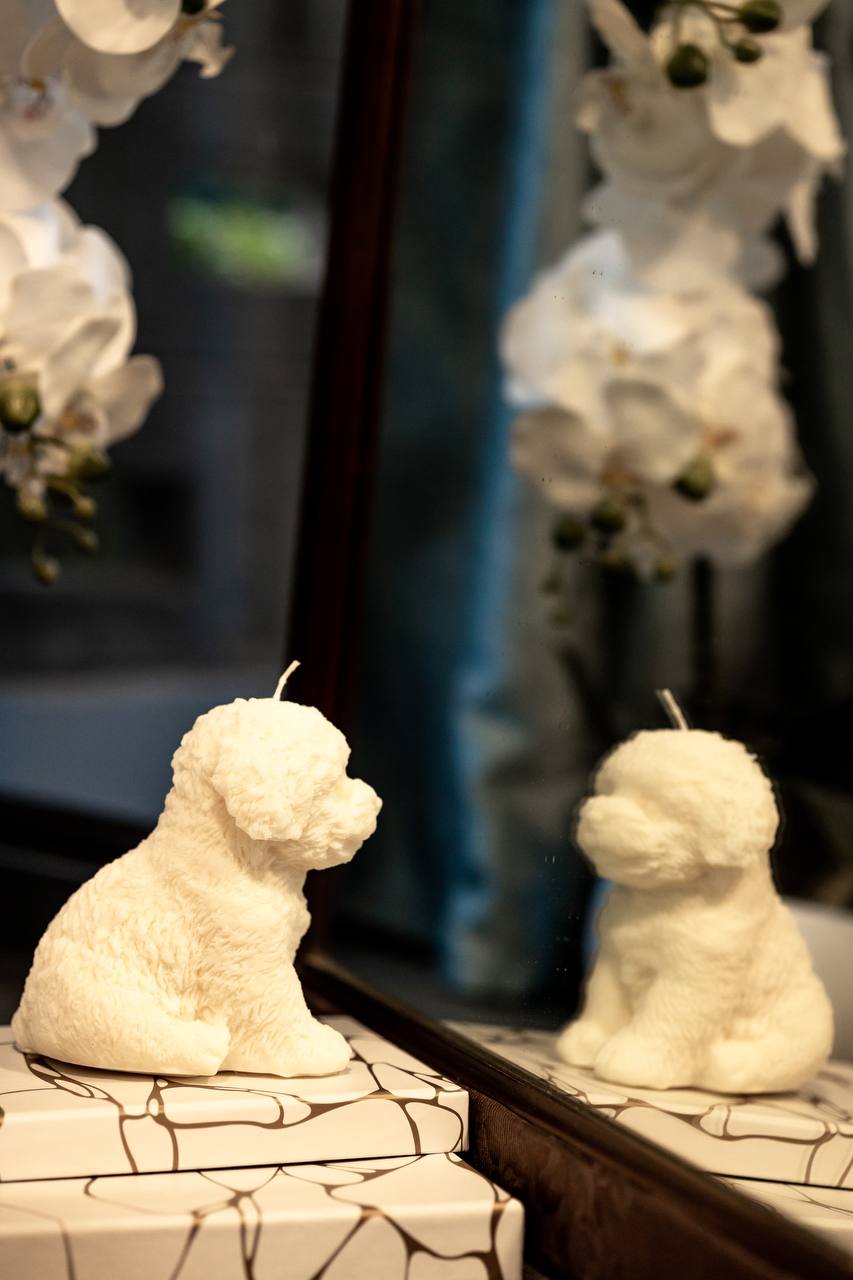 Ahava Home Puppy Candle