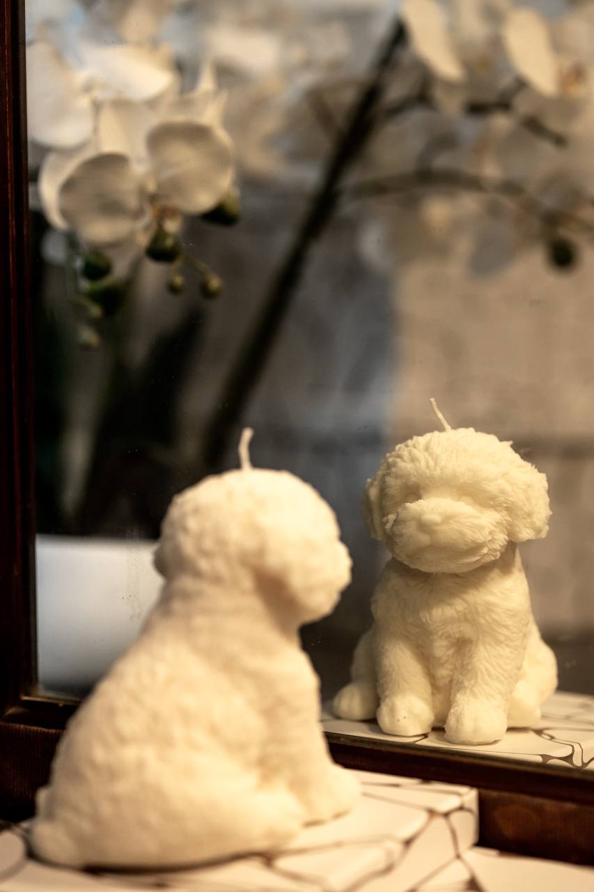 Ahava Home Puppy Candle, detail view